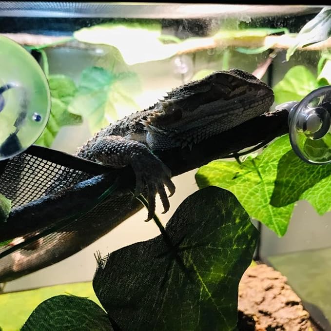 2 Pcs Bearded Dragon Lizard Hammock, Geckos Hammock, Breathable Mesh Reptile Hammock, Suitable for Iguanas, Anoles, Geckos, Snakes, Chameleon（Black）