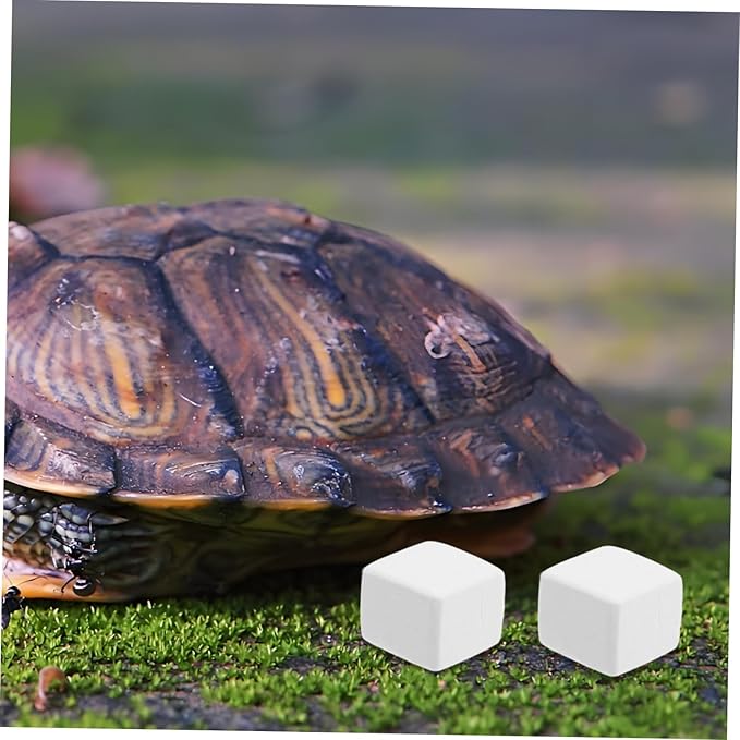 Abaodam 6pcs for Reptiles and Crabs Natural Molar Cubes for Enhanced Digestion and Mineral Supply Lightweight Chew Toys for Terrariums and Aquariums