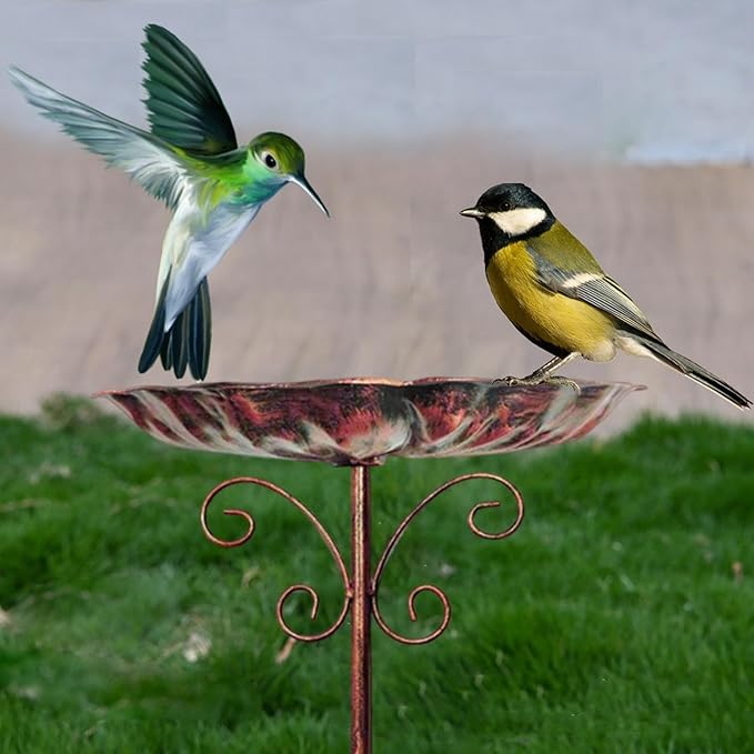 Bird Bath Feeder Bowl Birdfeeder Sturdy Iron Heavy Duty Detachable Easy to