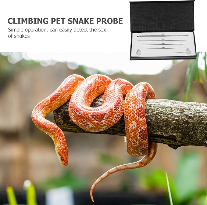 balacoo Crawling Supplies Snake Gender Detector Reptile Accessories Durable Metal Snake Tool