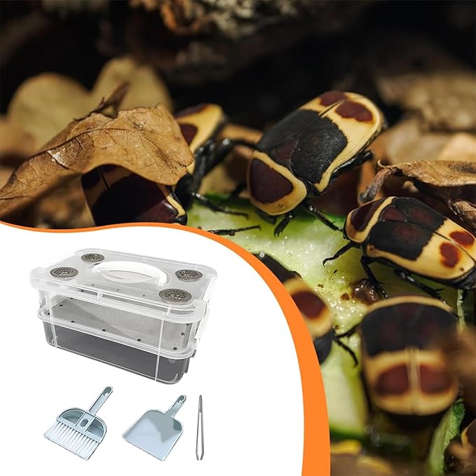 Mealworm Breeding Kit, High Capacity Mealworm Breeding Container, Prevent Escape Mealworms Keeper Includes Tweezers & Cleaning kit,to Breed Live Mealworms, Reptiles, Lizards, Frogs,Tortoises