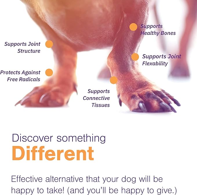 Virbac MOVOFLEX® Soft Chews | Hip and Joint Support Supplement for Medium Dogs (60 Count) | Veterinarian Formulated