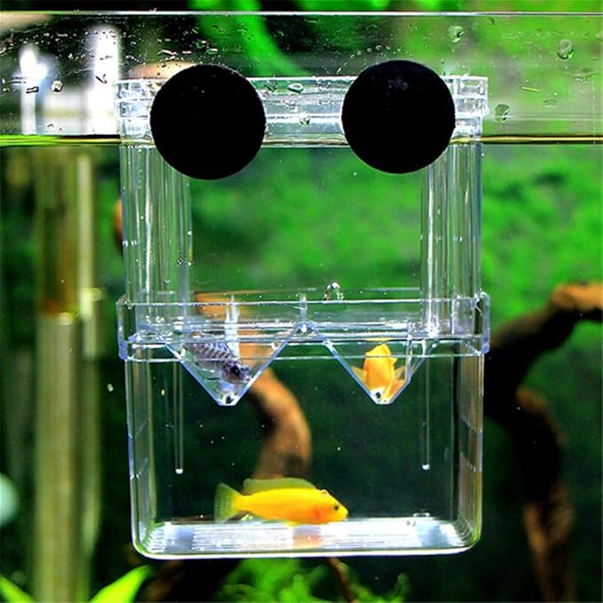 Fish Tabk Double Layer Clear Fish Farming Isolation Aquarium Planting Fish Tank Incubator Fish House Home Ecological Landscape Cool Fish Tank(Small)