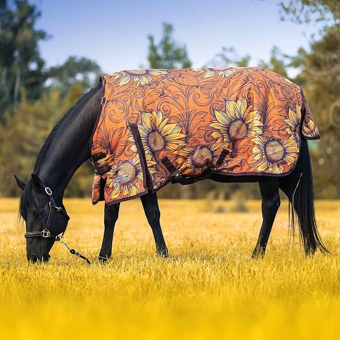Jeffers Expression 1200 Denier Standard Neck Turnout Blanket for Horses, 72"- Water Proof, Breathable, 240 gram Polyfill for Medium Weight Warmth, Winter Protection for Stall, Barn – Bloomin' Toolin