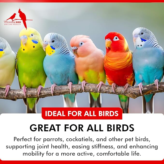 Morning Bird Joint & Mobility 2 fl oz – Herbal Liquid Supplement for Birds – Supports Joint Health, Muscle Comfort & Mobility – Ideal for Aging or Recovering Birds