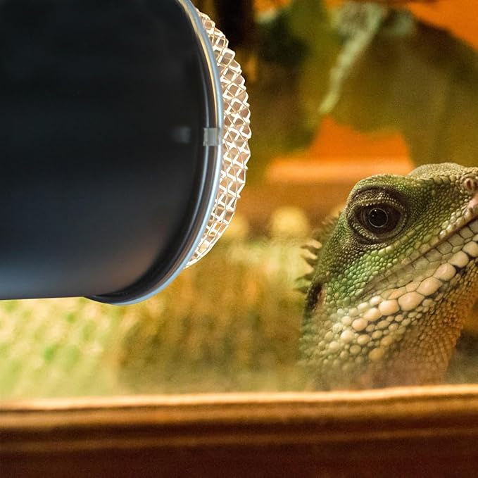 ibasenice Reptile Heat Lamp Cover 5.51-Inch Stainless Steel Anti-Scald Lampshade for Reptile Box Insulation Protects Pets from Burns