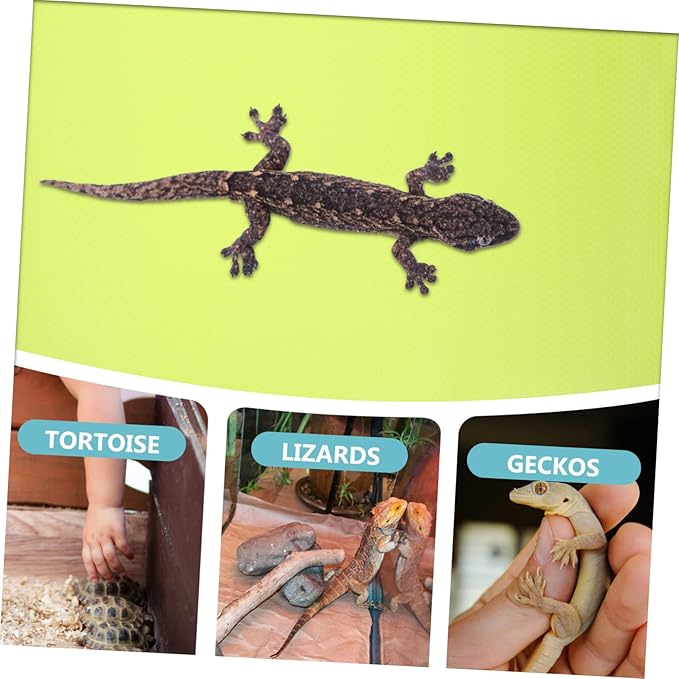 Abaodam Bearded Dragon Tank Background Reptile Terrarium Carpet Snake and Turtle Tank Accessories Easy-Clean Eva Mat