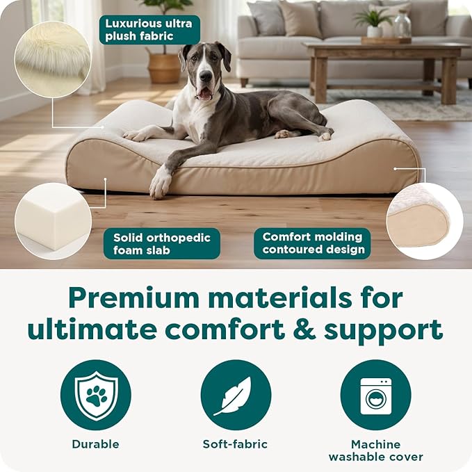 FurHaven Orthopedic Dog Bed for XX-Large Dogs, Luxe Lounger Contour Mattress with Medical-Grade Solid Orthopedic Foam for Joint Support, Removable Washable Cover - Jumbo Plus/XXL, Plush Suede, Cream