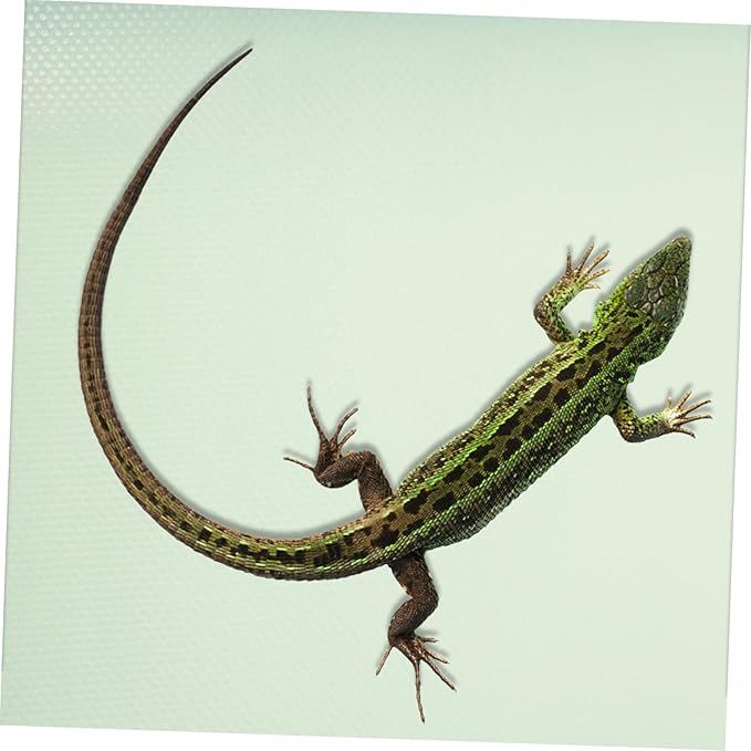 COLLBATH Reptile Carpet Mat for Bearded Dragons Snakes and Lizards Soft Portable Substrate Pad for Terrarium Bedding Light Green for Safe Resting and Comfort