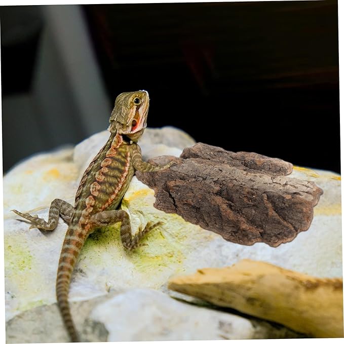 4pcs Cork Bark Reptile Decor Natural Tree Bark Climbing Platforms Reptiles Terrariums Background Cork Wood Habitat Tank Decoration for Snake Basking Lizard Hiding and Safe, Random Shape and Size