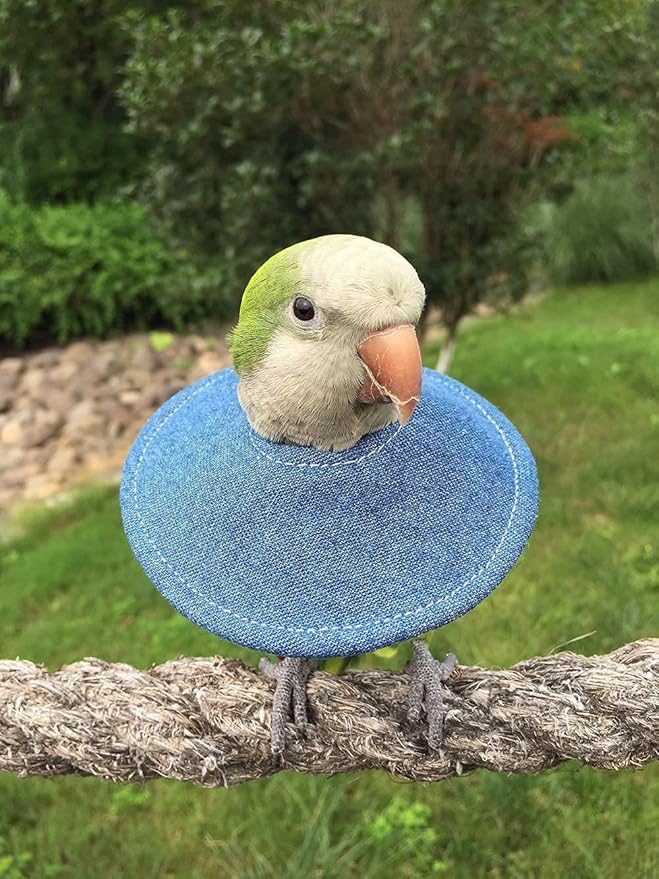 Adjustable Bird Collar - Recovery Collar Parrot Elizabeth Collar for Feather Plucking Feather Protector Shield with Soft Padded Cotton Neck Cone Anti-bite Anti-Licking Wound Healing (2XL,Blue)