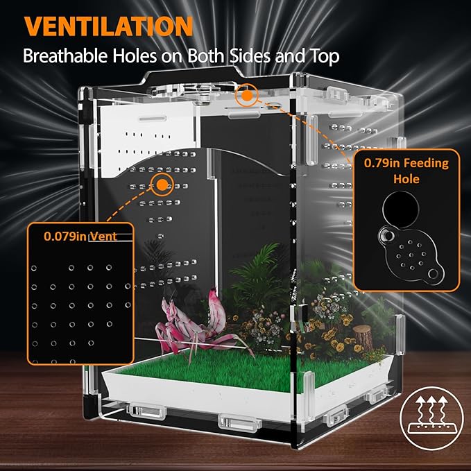Acrylic Jumping Spider Enclosure, Insect Terrarium, Praying Mantis Habitat, Bug Enclosure, Arboreal Tarantula Enclosure Kit, Reptile Cage, Scorpion Lizard Tank (4.45 * 4.94 * 5.71in)