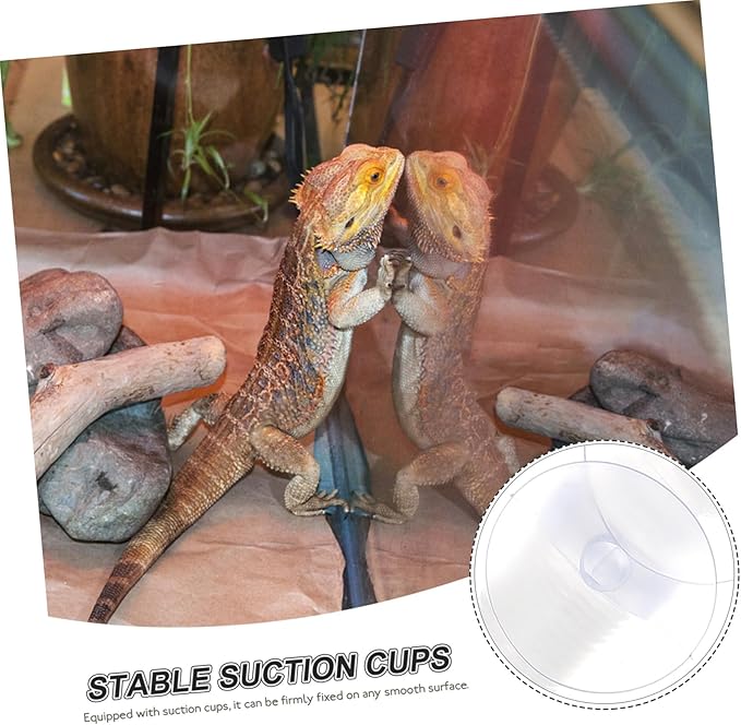 TOYANDONA 1set Reptile Humidifier Extension with Cups and Reusable Accessory for Reptiles and Amphibians Compact Design for Easy Installation Terrariums and Aquariums