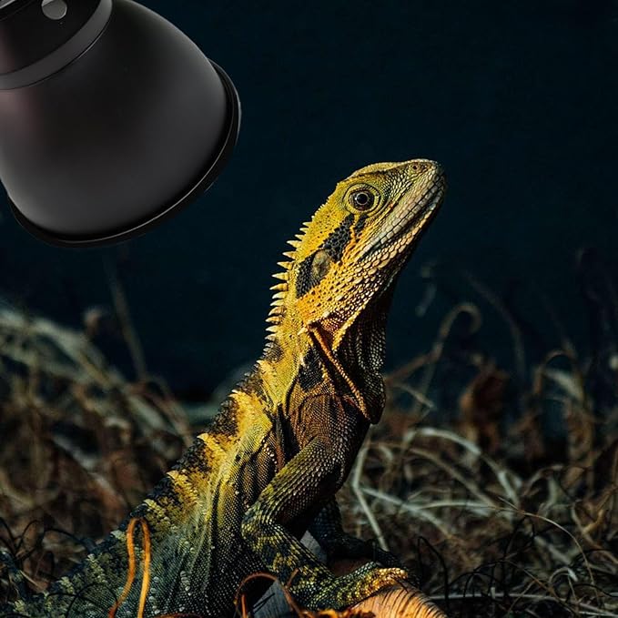 Reptile Heat Lamp Fixture - Deep Dome Basking Light Holder, Reflective Terrarium Lamp Shade | UVB Reptile Tank Light Fixture, Optical Dome Cover for Heat Bulb, Pet Habitat Light Accessory