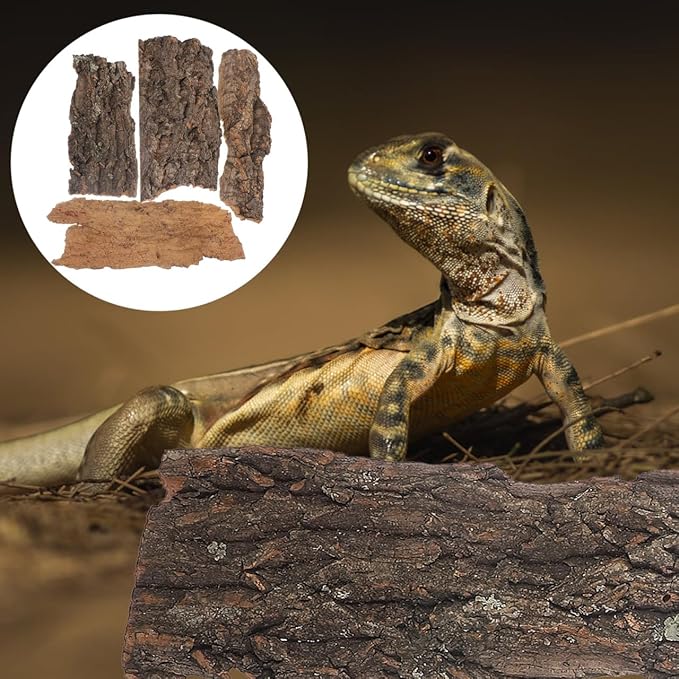 4pcs Reptile Bark Decor Wood,Natural Cork Bark, Bark Cork Hides Water Bark Flats Decor,Reptile Bark Cork Wood Bark Terrarium for Bearded Dragon Lizard Geckos Tortoise Random Shape Random Size Deliver