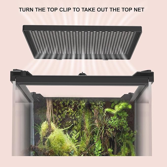 Reptile Tall Glass Terrarium Rainforest Habitat Single Door with Screen Ventilation,Small Reptile Terrarium for Spiders, Tarantulas, Snail, Mantis, Lizard (10 * 10 * 13.8 inch)