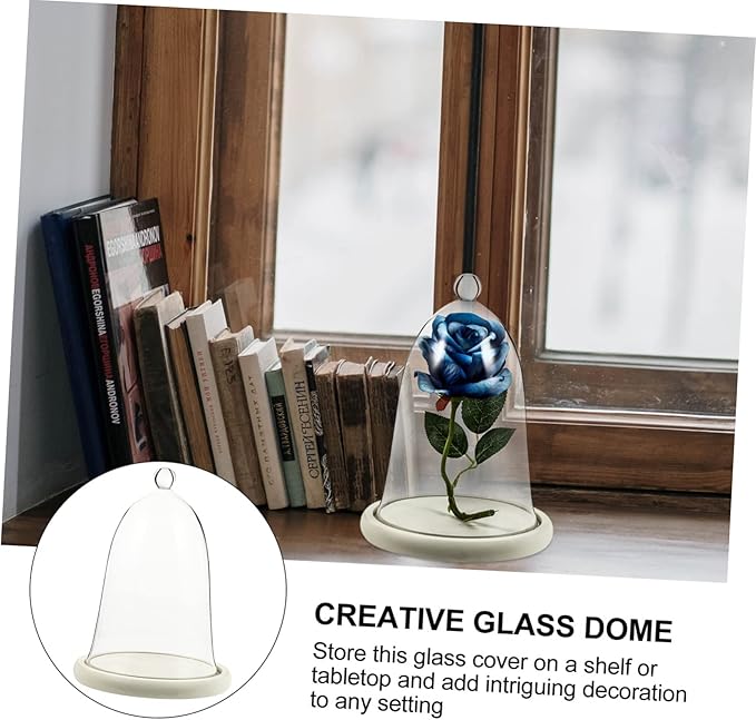 PRETYZOOM Preserved Flower Glass Cover Sealed Terrarium Small Dome Decor Car Interior Adornment