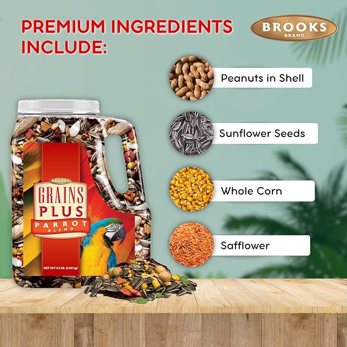 Grains Plus Parrot Blend, Bird Food Parrot Seed Mix, African Grey Food, Eclectus, Indian Ringneck, Quaker (4.5 lbs)