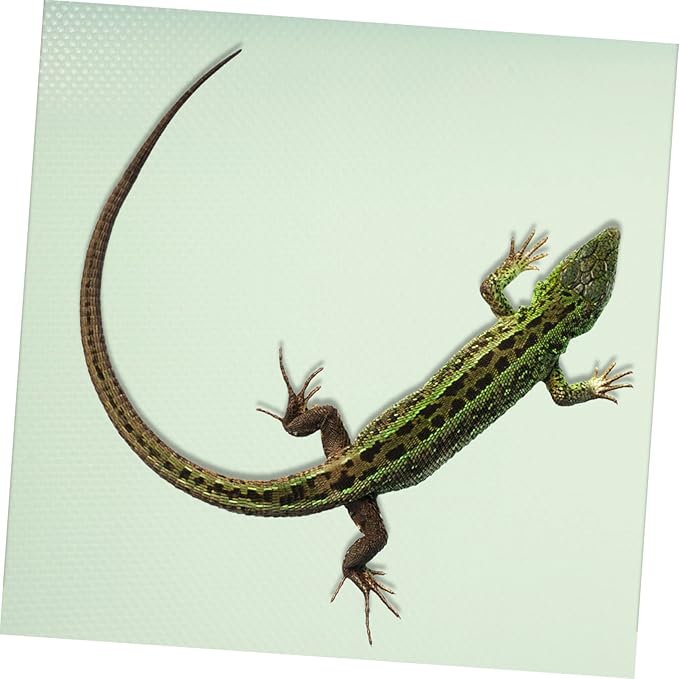TOYANDONA Reptile Carpet Mat for Durable Substrate Bedding for Leopard Gecko Bearded Dragon Snake Lizard Tortoise Easy to Install