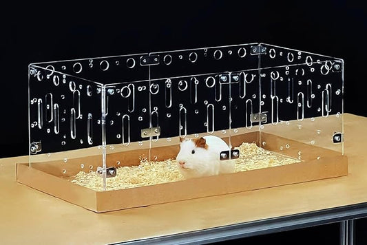 GuineaLoft™ Acrylic Cage (Model-C2) - Small 2x1 ft Open Cage for a Single Guinea Pig, Disposable Bottom, Connectable, DIY Extendable - Visit the Guinea Loft Store to See It All