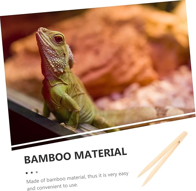 BESPORTBLE Reptile Feeding Tweezers Lightweight Bamboo Feeding Tool for Lizards Tortoises and Frogs Safe Non-deformable Design for Easy Use and Long-Term Care