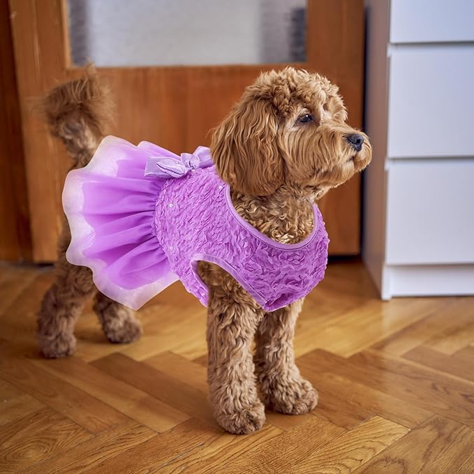 ASENKU Dog Dress Pet Wedding Dress Princess Lace Puppy Birthday Party Outfit Formal Apparel Girl for Small Medium Dogs Cats (Large, Purple)