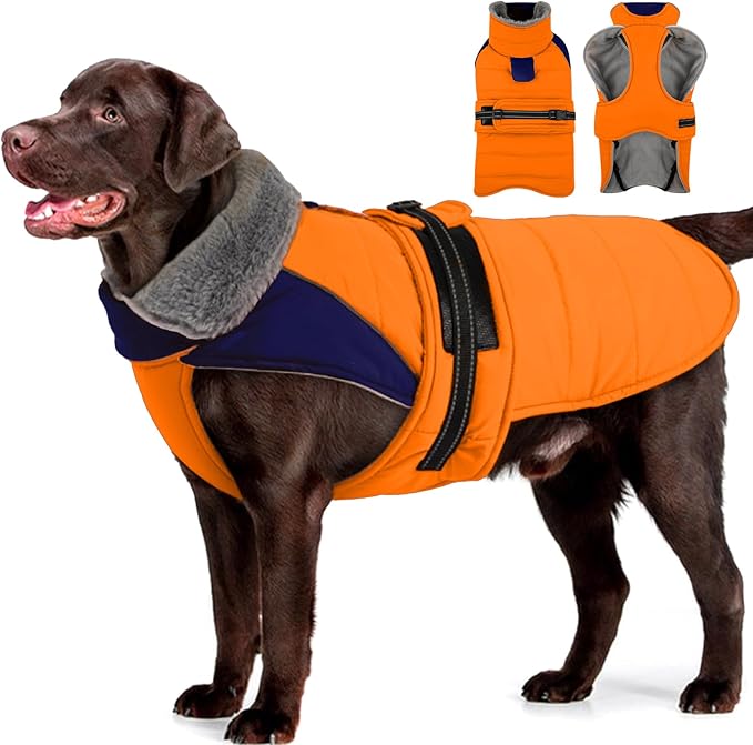 MIGOHI Comfortable Large Dog Coat - Waterproof Dog Coat with Reflective Strips,Windproof XXL Dogs Jacket with Warm Turtleneck, Snow Coats for Large Dogs,Labrador Golden Retriever,2XL,Orange