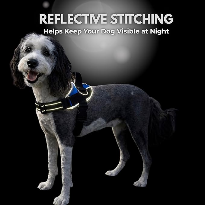 ShawnCo Essential Dog Harness, No-Pull Pet Vest with 3 Leash Clips, No Choke, Reflective, Adjustable and Padded, for Easy Walking and Training for Small, Medium and Large Dogs (Pacific Blue, L)