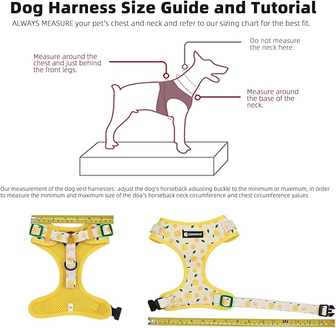 Dog Harness and Leash Set, Adjustable Dog Harness, Dog Leash, No Pull No Choke Puppy Harnesses for Walking Training for Small, Medium Pet (Little Love, M(Chest 17.7-23.1", Neck 13.4-16.4"))