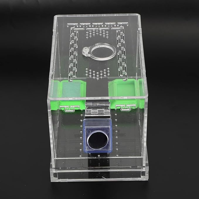 Transparent Acrylic Reptile Feeding Cricket, Cricket Care Kit Cricket Keeper with Tubes Cricket Keeper Tank Box(S)