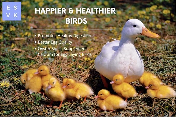 Natural Flaked Oyster Shell - 4 Pound (Pack of 1) | Calcium Supplement for Chickens, Ducks, and Other Birds| Made in USA (4 lb)