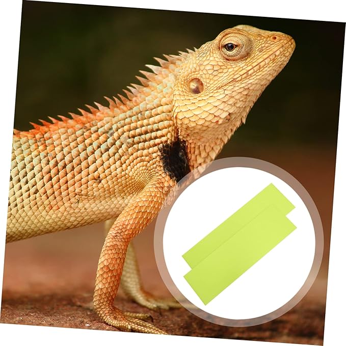 Mikikit 2pcs Reptile Carpet Liner Mat for Terrariums and Bedding for Snakes Turtles and Lizards Green for Tanks