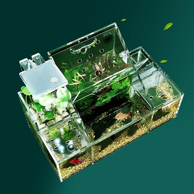 Ecological Fish Tank Desktop Breeding Hatching Special Fish Tank Isolation Box Circulating Water Filtration Pump Home Office Fish Tank Decoration