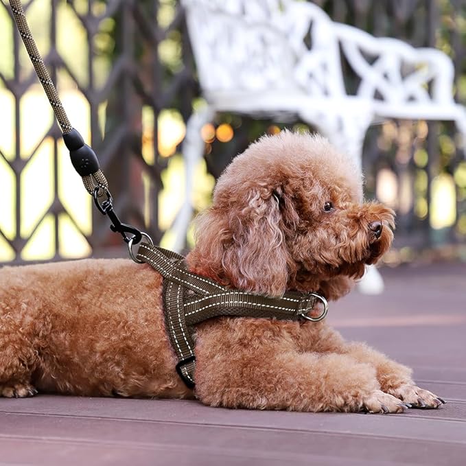 Plutus Pet No Pull Dog Harness with Breathable Mesh Padded, Adjustable Reflective Escape Proof Dog Harness, Quick Fit Dog Vest Harness for Small Medium Large Dogs(L, Chocolate)