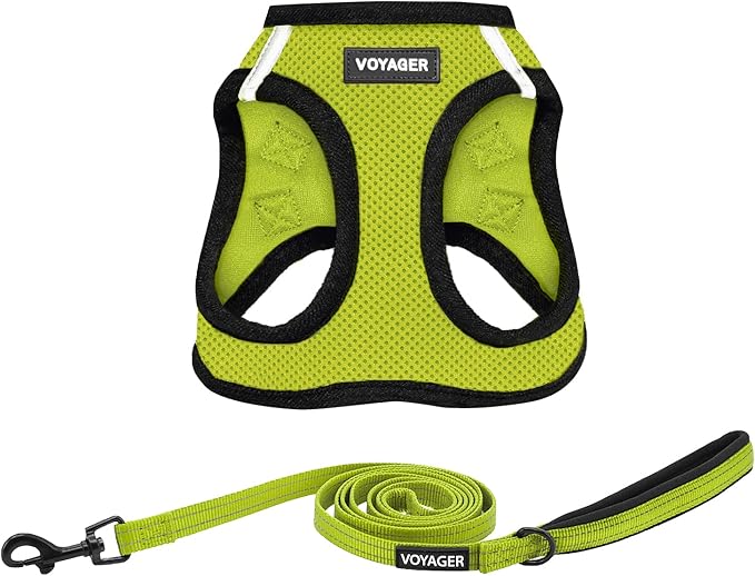 Best Pet Supplies Voyager Step-in Air All Weather Mesh Harness and Reflective Dog 5ft Leash Combo with Neoprene Handle, for Small, Medium and Large Breed Puppies - Set (Lime/Black Trim), X-Small