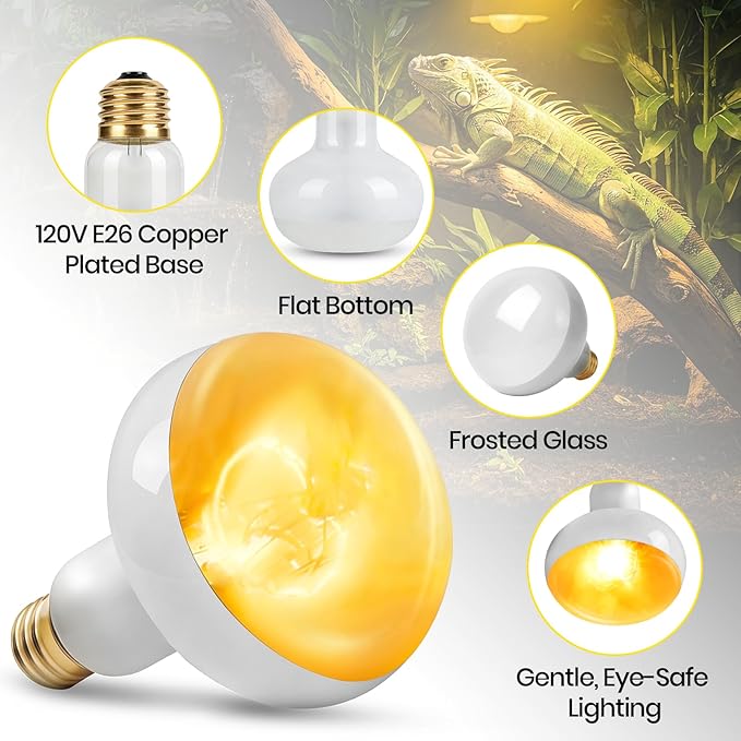 CALPALMY 4-Pack 150W Reptile Heat Lamp Bulb, UVA Daylight Basking Light for Reptiles, Bearded Dragon, Lizard, Turtle, Snake, Tortoise, Chicken – Flat Bottom Design, Long Lifespan, 120V E26 Base