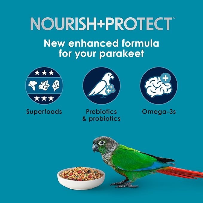 Kaytee Forti-Diet Pro Health Nourish+Protect Parakeet Food, Comprehensive Nutrition Backed by Science, Digestive Health, Immune Support, 4 pounds
