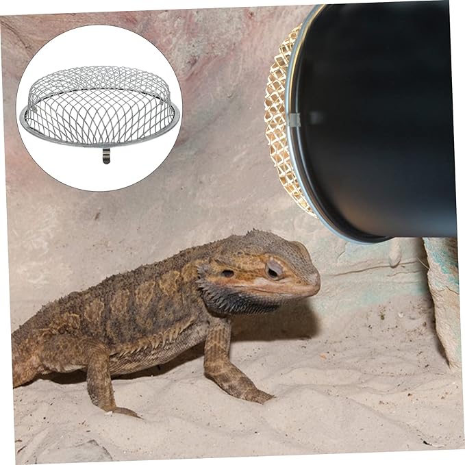 Housoutil Grille Chicken Heater Reptile Heat Lamp Reptile Heater Guard Dome Light Bulb Lampshade Protector Lampshade Shell s White Container Stainless Steel Crawl