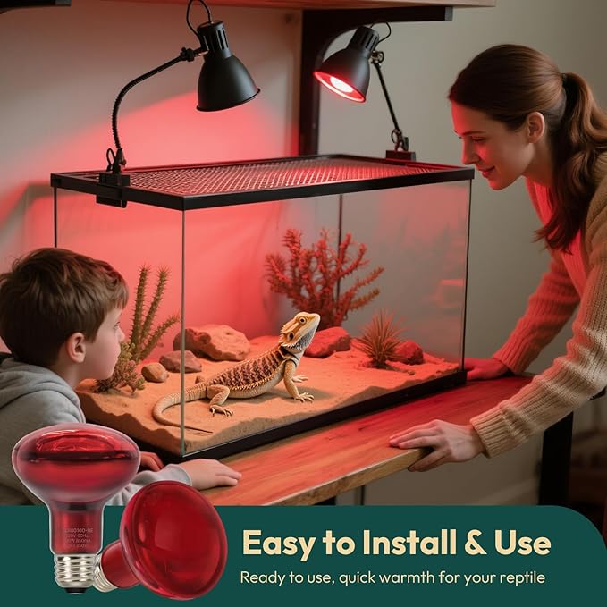 ALAMPEVER 2 Pack Red Heat Lamp Bulb, 100 Watt Infrared Light Bulb for Bearded Dragon, E26 Base, Durable Reptile Heat Bulb for Amphibian, Lizard, Tortoise, Gecko