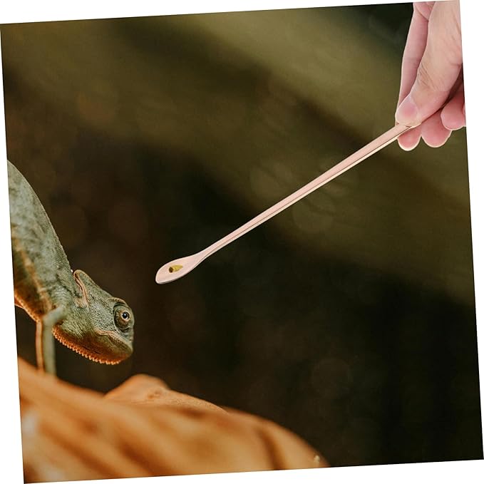 Mipcase 2pcs Stainless Steel Reptile Food Scoop Small Pet Feeding Spoon for Lizards and Reptiles Ergonomic Design for Easy Use and Maintenance Compact and Lightweight Tool for Convenient