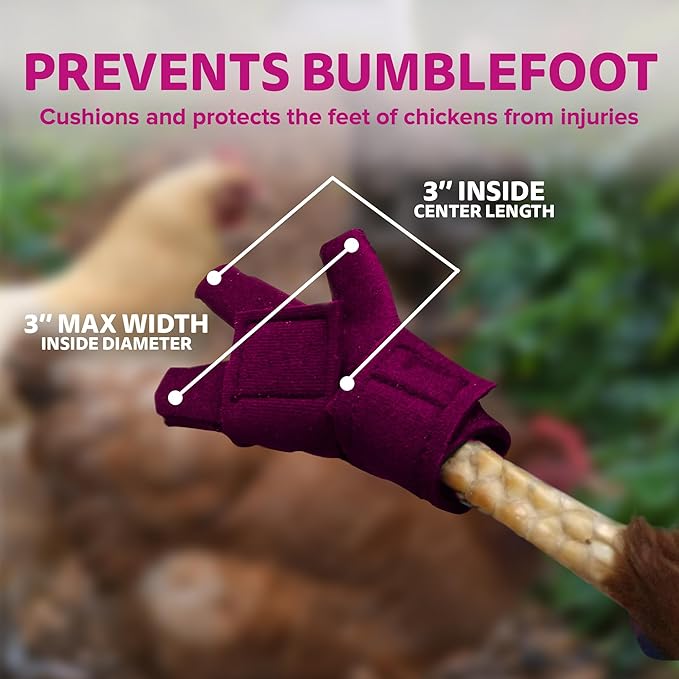 Chicken Shoes for Injured Feet – Protective Neoprene Footwear for Chicken, Open-Toe Design for Bumblefoot Relief, Made in USA - Large, 4" Max. Inside Width, Pink