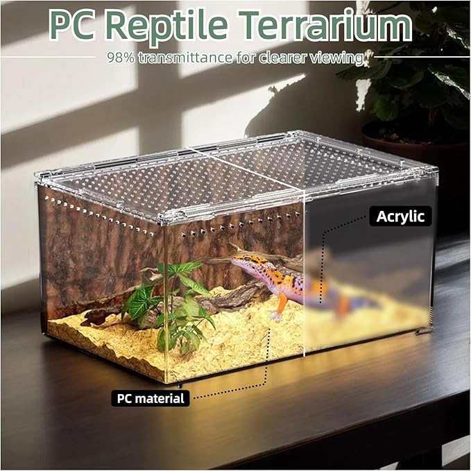 8x6x4 Inch Terrarium with Magnetic Top Sliding Lid, Clear View Critter Keeper & Spider Enclosure, Jumping Spider/Tarantula Habitat, Hermit Crab Tank, Tadpole to Frog Kit
