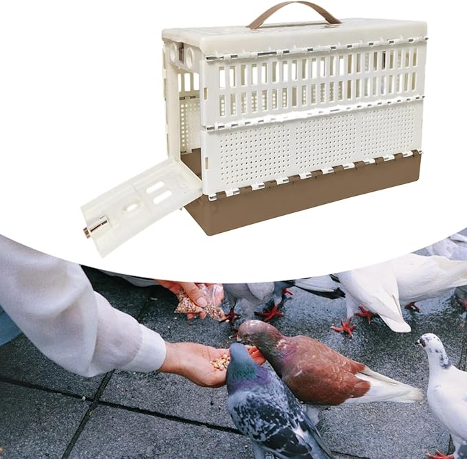 Pigeon Cage Transport Box Fodable Pet Bird Cage 32cmx22cmx15cm Pigeon Training Travel Carrier