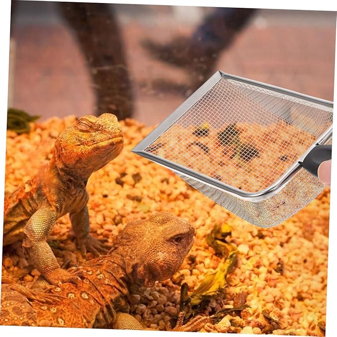 TOYANDONA 2pcs Portable Stainless Steel Reptile Shovels for Easy Substrate Cleanup Durable Household Scoopers for Tortoise Lizard and Scorpion Care
