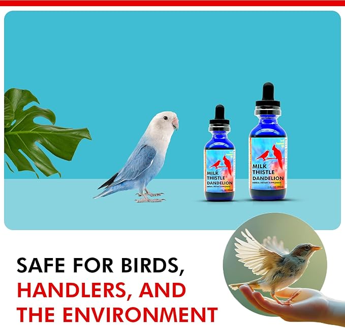 Morning Bird Milk Thistle & Dandelion Extract 1 fl oz – Organic Herbal Supplement for Birds – Supports Liver Health & Natural Detox – Suitable for All Bird Species