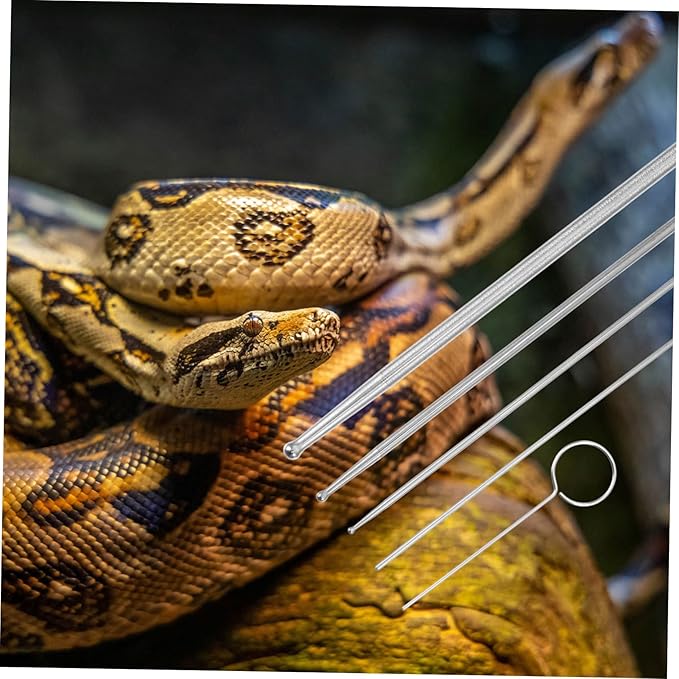 6PCS Stainless Steel Snake Probe Set Reptile Gender Detection Tools for Corn Snakes Kingsnakes and Other Reptiles Sturdy and Easy-to-Use Gender Probes