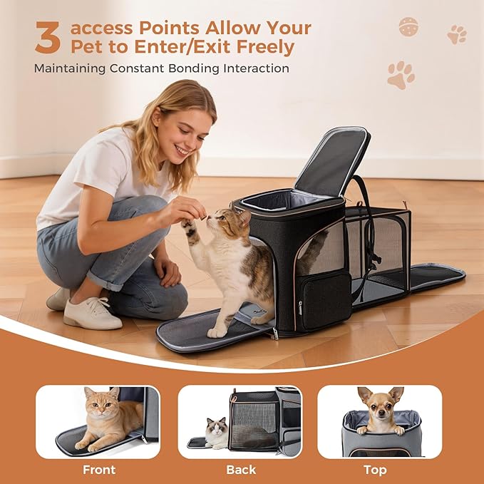 Lekereise Cat Backpack Carrier for Small Dogs and Medium Cat Puppy Kitten Bunny Pet Carrier Backpack Collapsible with Fully Ventilated Mesh with Safety Leash(Black)
