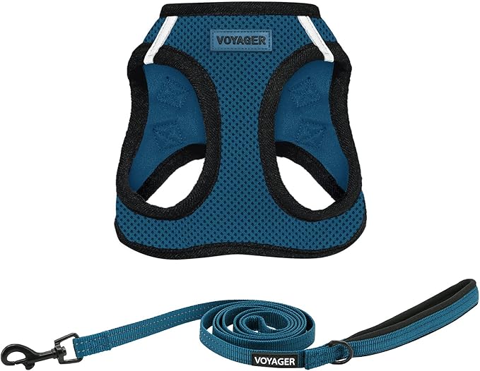 Best Pet Supplies Voyager Step-in Air All Weather Mesh Harness and Reflective Dog 5ft Leash Combo with Neoprene Handle, for Small, Medium and Large Breed Puppies - Set (Blue/Black Trim), X-Large
