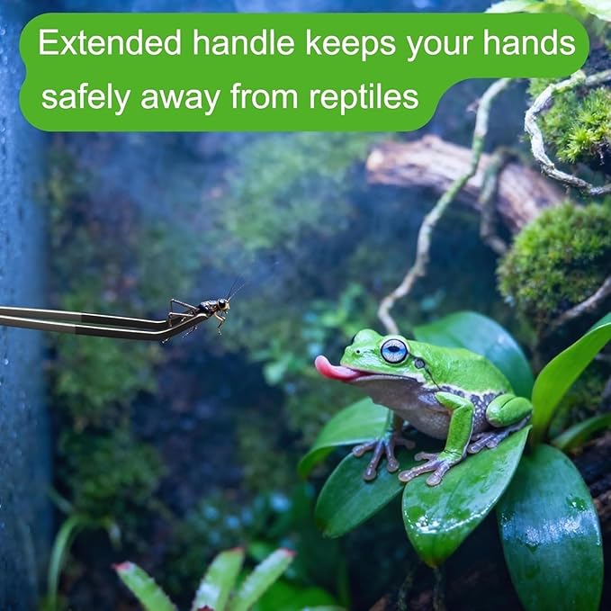 10.6-Inch Straight & Curved Tongs for Bearded Dragons, Lizards, and Aquarium Maintenance