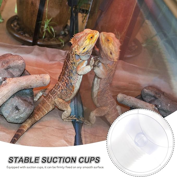Abaodam 1set Reptile Humidifier Extension with Cups Flexible Hose for Terrarium Mist System Compact Design Compatible with Amphibians and Reptiles Easy Installation Accessory